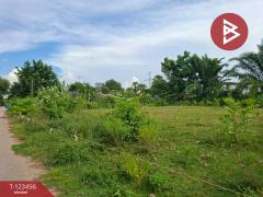 ขายที่ดิน เนื้อที่ 6 ไร่ 2 งาน 93 ตร.วา พนัสนิคม ชลบุรี-202510091718251760005105904.jpg