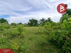 ขายที่ดิน เนื้อที่ 6 ไร่ 2 งาน 93 ตร.วา พนัสนิคม ชลบุรี-202510091718261760005106544.jpg