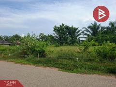 ขายที่ดิน เนื้อที่ 6 ไร่ 2 งาน 93 ตร.วา พนัสนิคม ชลบุรี-202510091718271760005107221.jpg