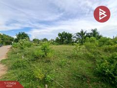 ขายที่ดิน เนื้อที่ 6 ไร่ 2 งาน 93 ตร.วา พนัสนิคม ชลบุรี-202510091718271760005107824.jpg