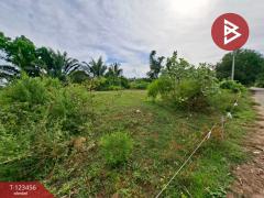 ขายที่ดิน เนื้อที่ 6 ไร่ 2 งาน 93 ตร.วา พนัสนิคม ชลบุรี-202510091718281760005108438.jpg