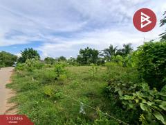 ขายที่ดิน เนื้อที่ 6 ไร่ 2 งาน 93 ตร.วา พนัสนิคม ชลบุรี-202510091718301760005110274.jpg