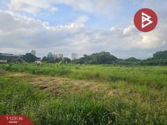 ขายที่ดิน เนื้อที่ 4 ไร่ 2 งาน 33 ตร.วา พระประแดง สมุทรปราการ