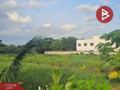 ขายที่ดิน เนื้อที่ 4 ไร่ 2 งาน 33 ตร.วา พระประแดง สมุทรปราการ-202510091723211760005401333.jpg