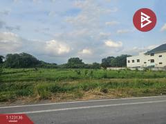 ขายที่ดิน เนื้อที่ 4 ไร่ 2 งาน 33 ตร.วา พระประแดง สมุทรปราการ-202510091723241760005404945.jpg