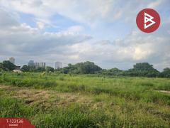 ขายที่ดิน เนื้อที่ 4 ไร่ 2 งาน 33 ตร.วา พระประแดง สมุทรปราการ-202510091723251760005405549.jpg