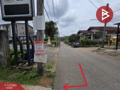 ขายที่ดิน เนื้อที่ 52 ไร่ 1 งาน 52 ตร.วา ท่าช้าง จันทบุรี-202510091735471760006147297.jpg