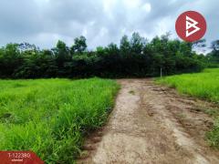 ขายที่ดิน เนื้อที่ 52 ไร่ 1 งาน 52 ตร.วา ท่าช้าง จันทบุรี-202510091735491760006149540.jpg