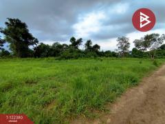 ขายที่ดิน เนื้อที่ 52 ไร่ 1 งาน 52 ตร.วา ท่าช้าง จันทบุรี-202510091735501760006150118.jpg