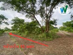 ที่ดินเปล่า ซอย สุวินทวงศ์ 49 เนื้อที่ 417 ตร.ว. เข้าปากซอย 2.7 กิโลเมตร-202510091752101760007130419.jpg