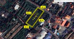 ขาย ที่ดินเปล่า ถนนเพชรหึงษ์ 57 ขนาด 1-2-10 ไร่ เหมาทำร้านค้าและที่อยู่อาศัย-202510091901301760011290950.jpg