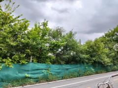 ขาย ที่ดินเปล่า ถนนเพชรหึงษ์ 57 ขนาด 1-2-10 ไร่ เหมาทำร้านค้าและที่อยู่อาศัย-202510091901321760011292007.jpg