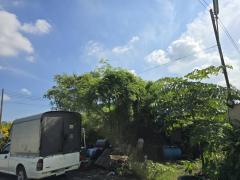 ขาย ที่ดิน คลองมะเดื่อ กระทุมแบน 0-1-86 ไร่ แปลงสวย เหมาะสร้างอพาร์ทเมนท์-202510092154401760021680357.jpg