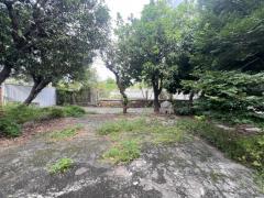 ให้เช่า ที่ดิน แปลงใหญ่ ขนาด 1 ไร่ มีบ้าน 2 หลัง พร้อมสระว่ายน้ำและสนามหญ้า ซอย ลาดพร้าว 41 ใกล้ MRT ภาวนา