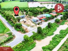 ขายบ้านเดี่ยวพร้อมที่ดิน เนื้อที่ 8 ไร่ 66 ตร.วา สามชุก สุพรรณบุรี