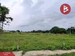 ขายที่ดิน เนื้อที่ 3 งาน 44.5 ตร.วา กำแพงแสน นครปฐม