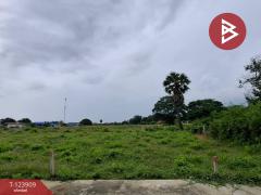 ขายที่ดิน เนื้อที่ 3 งาน 44.5 ตร.วา กำแพงแสน นครปฐม-202510101111111760069471226.jpg