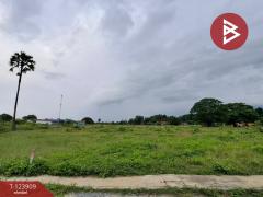 ขายที่ดิน เนื้อที่ 3 งาน 44.5 ตร.วา กำแพงแสน นครปฐม-202510101111121760069472256.jpg