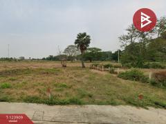 ขายที่ดิน เนื้อที่ 3 งาน 44.5 ตร.วา กำแพงแสน นครปฐม-202510101111131760069473815.jpg