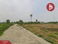 ขายที่ดิน เนื้อที่ 3 งาน 44.5 ตร.วา กำแพงแสน นครปฐม-202510101111141760069474335.jpg