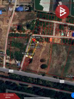 ขายที่ดิน เนื้อที่ 3 งาน 44.5 ตร.วา กำแพงแสน นครปฐม-202510101111151760069475367.jpg