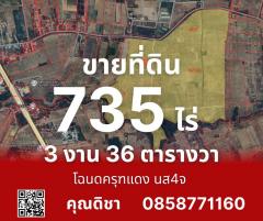 ขายที่ดิน โฉนดครุฑแดง นส4จ เนื้อที่ 735 ไร่ ติดถนนลาดยาง พิจิตร อ.วังทรายพูน