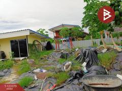 ขายที่ดิน เนื้อที่ 230.6 ตารางวา ปากเกร็ด นนทบุรี-202510101205211760072721598.jpg