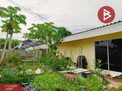 ขายที่ดิน เนื้อที่ 230.6 ตารางวา ปากเกร็ด นนทบุรี-202510101205221760072722119.jpg