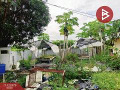 ขายที่ดิน เนื้อที่ 230.6 ตารางวา ปากเกร็ด นนทบุรี-202510101205231760072723275.jpg