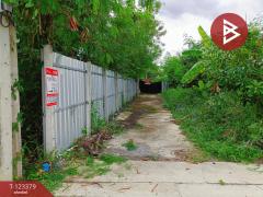 ขายที่ดิน เนื้อที่ 230.6 ตารางวา ปากเกร็ด นนทบุรี-202510101205241760072724315.jpg