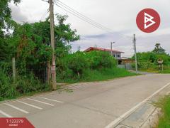 ขายที่ดิน เนื้อที่ 230.6 ตารางวา ปากเกร็ด นนทบุรี-202510101205241760072724837.jpg