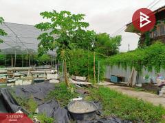 ขายที่ดิน เนื้อที่ 230.6 ตารางวา ปากเกร็ด นนทบุรี-202510101205251760072725356.jpg