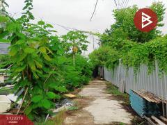 ขายที่ดิน เนื้อที่ 230.6 ตารางวา ปากเกร็ด นนทบุรี-202510101205261760072726594.jpg