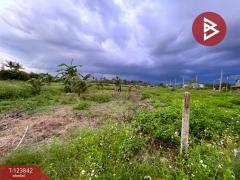 ขายที่ดิน เนื้อที่ 3 ไร่ 2 งาน 2 ตร.วา เขาพนม กระบี่-202510101347371760078857752.jpg