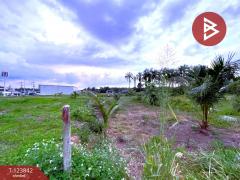 ขายที่ดิน เนื้อที่ 3 ไร่ 2 งาน 2 ตร.วา เขาพนม กระบี่-202510101347381760078858274.jpg