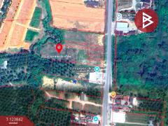 ขายที่ดิน เนื้อที่ 3 ไร่ 2 งาน 2 ตร.วา เขาพนม กระบี่-202510101347391760078859315.jpg