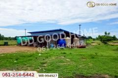 WR-994927 ที่ดินหันคา 149 ไร่ 114 ตร.ว. ชัยนาท ใกล้โรงพยาบาลหันคา-202510101351311760079091945.jpg