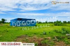 WR-994927 ที่ดินหันคา 149 ไร่ 114 ตร.ว. ชัยนาท ใกล้โรงพยาบาลหันคา-202510101351321760079092491.jpg