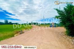 WR-994927 ที่ดินหันคา 149 ไร่ 114 ตร.ว. ชัยนาท ใกล้โรงพยาบาลหันคา-202510101351331760079093047.jpg