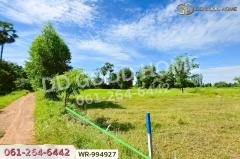 WR-994927 ที่ดินหันคา 149 ไร่ 114 ตร.ว. ชัยนาท ใกล้โรงพยาบาลหันคา-202510101351331760079093609.jpg