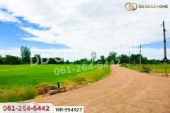 WR-994927 ที่ดินหันคา 149 ไร่ 114 ตร.ว. ชัยนาท ใกล้โรงพยาบาลหันคา-202510101351341760079094712.jpg