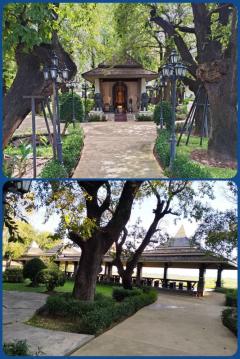 ขายที่ดิน สถานที่ท่องเที่ยวประจำจังหวัด อาศรมหมอชีวก สิงห์บุรี เกือบ 10 ไร่ พร้อมอาคารบ้านไม้สักเรือนไทยหลังใหญ่หลายอาคาร-202510101620251760088025893.jpg