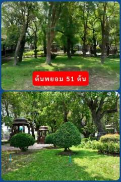 ขายที่ดิน สถานที่ท่องเที่ยวประจำจังหวัด อาศรมหมอชีวก สิงห์บุรี เกือบ 10 ไร่ พร้อมอาคารบ้านไม้สักเรือนไทยหลังใหญ่หลายอาคาร-202510101620261760088026918.jpg