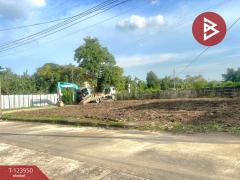 ขายที่ดิน เนื้อที่ 1 งาน 19.5 ตร.วา ลาดกระบัง กรุงเทพมหานคร-202510101718081760091488797.jpg