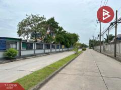 ขายที่ดิน เนื้อที่ 1 งาน 19.5 ตร.วา ลาดกระบัง กรุงเทพมหานคร-202510101718101760091490970.jpg