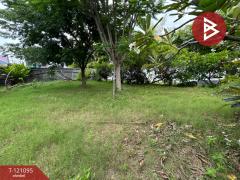 ขาย/เช่าที่ดิน เนื้อที่ 1 งาน 68 ตร.วา บางนา กรุงเทพมหานคร-202510101731021760092262060.jpg