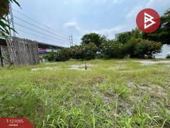 ขาย/เช่าที่ดิน เนื้อที่ 1 งาน 68 ตร.วา บางนา กรุงเทพมหานคร-202510101731031760092263463.jpg