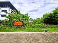 ขายที่ดิน แจ้งวัฒนะ หลักสี่ 100 ตร.วา ใกล้รถไฟฟ้าสายสีชมพู สถานีแจ้งวัฒนะ14