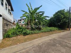 ขายที่ดิน แจ้งวัฒนะ หลักสี่ 100 ตร.วา ใกล้รถไฟฟ้าสายสีชมพู สถานีแจ้งวัฒนะ14-202510101819061760095146585.jpg