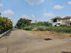 ขายที่ดิน แจ้งวัฒนะ หลักสี่ 100 ตร.วา ใกล้รถไฟฟ้าสายสีชมพู สถานีแจ้งวัฒนะ14-202510101819071760095147560.jpg